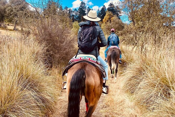 Horseback, Culture & Mexican Flavors Experience - First snacks at the family ranch