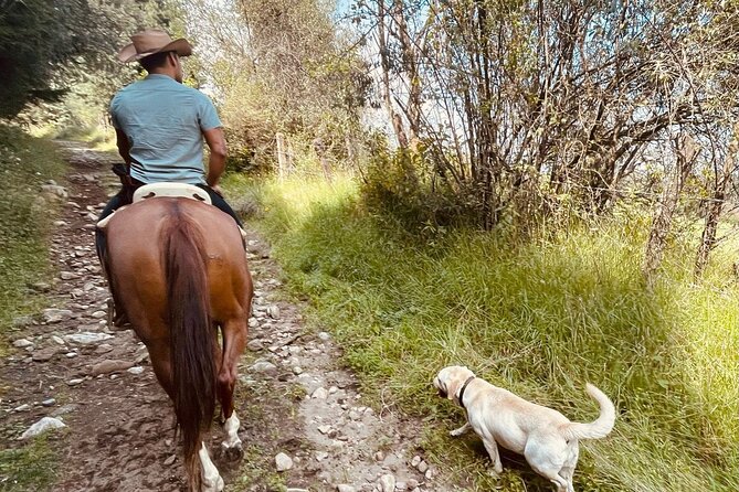 Horseback, Culture & Mexican Flavors Experience - A Mexican barbecue after the ride