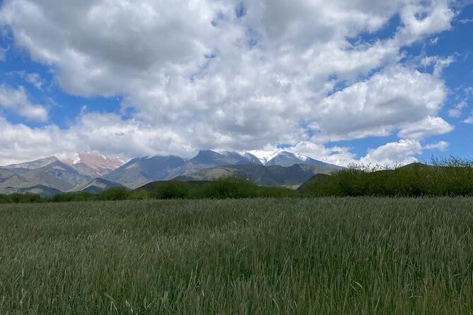 Horseback riding and barbecue in a private ranch - La Carrera, Mendoza - Reaching La Carrera Valley from Mendoza