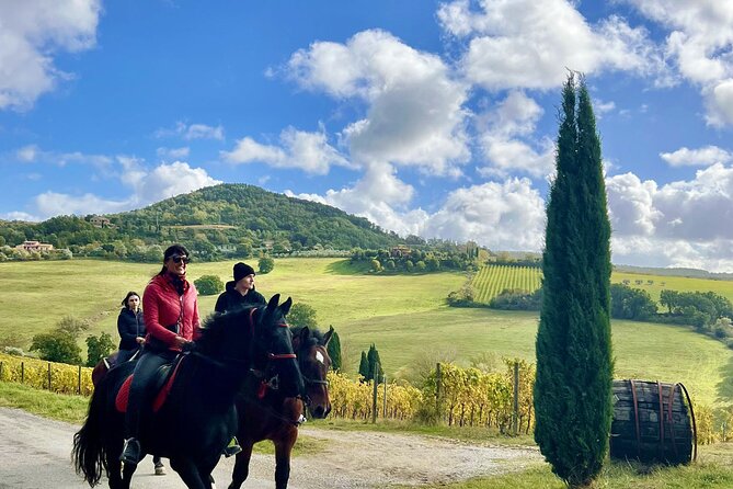 Horseback riding in Montepulciano Tuscany, lunch on the farm - Key Points at a Glance