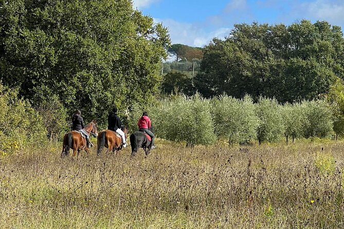 Horseback riding in Montepulciano Tuscany, lunch on the farm - Why the Small Group Matters on Horseback