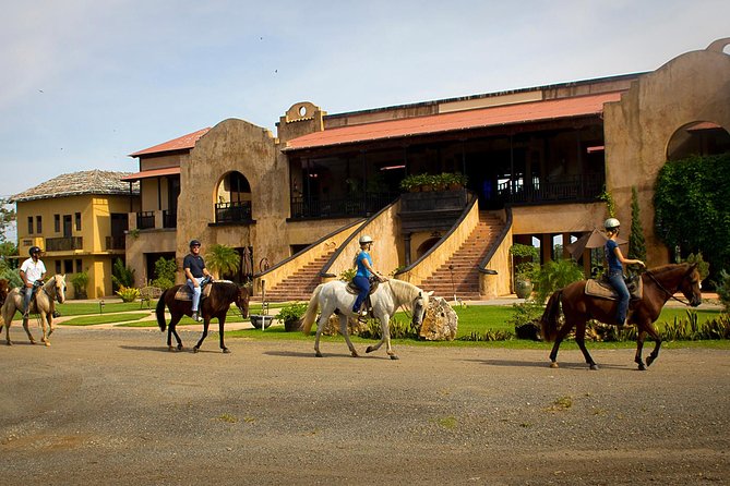 Horseback Riding Tour at Private Ranch - What families and beginners should expect