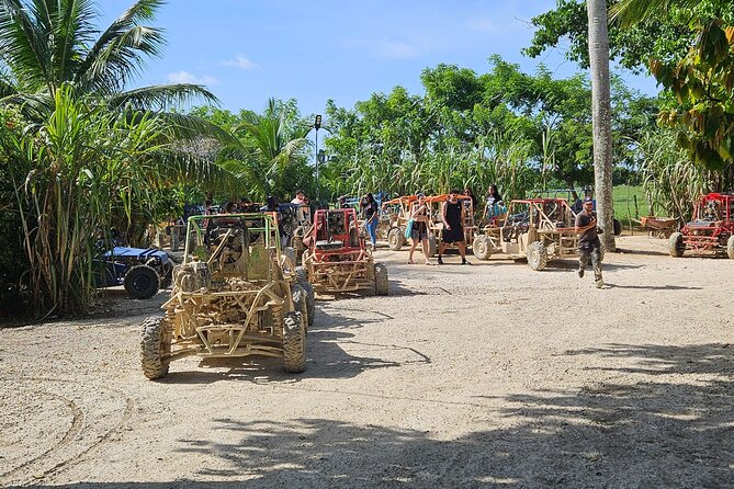 Horses, Buggy, and plantation in Chocaci Ranch - Key Things to Know Before You Go