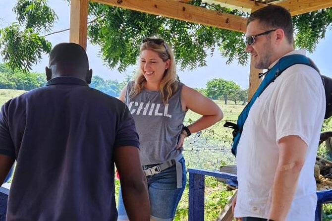 Horses, Buggy, and plantation in Chocaci Ranch - Turning Cacao Into Chocolate
