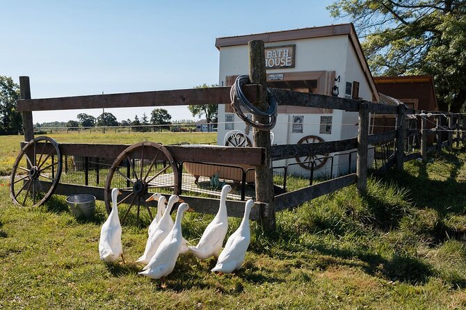 Humberstone Ranch Visit with Mini Domestic Animals - Key things to know before you go