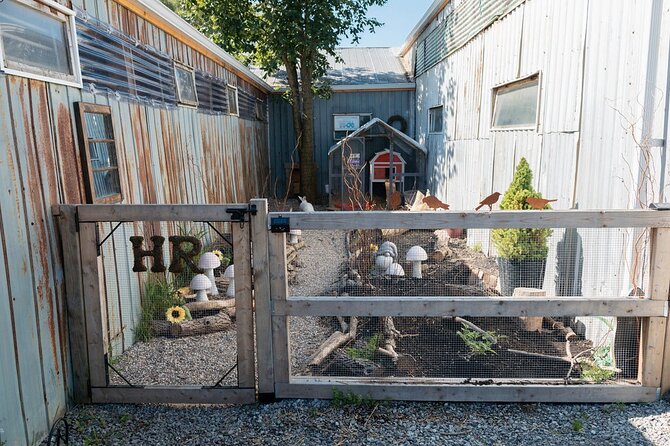 Humberstone Ranch Visit with Mini Domestic Animals - Charlotte and Wilbur, the piglet favorites