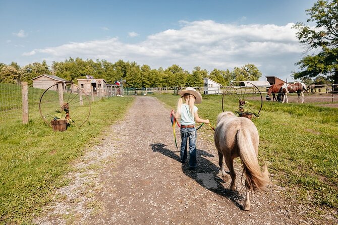 Humberstone Ranch Visit with Mini Domestic Animals - What the one-hour format really gives you