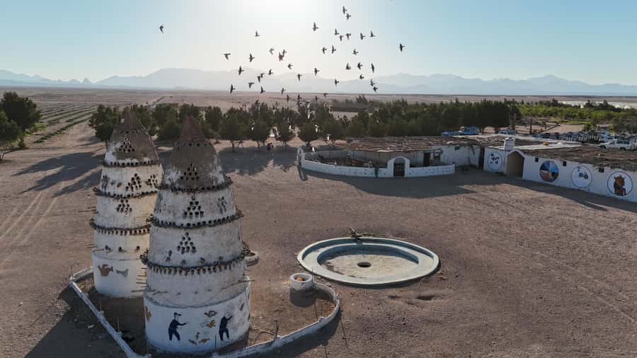 Hurghada: Desert Farm Tour with Breakfast at Scorpion Camp - Leaving Hurghada by jeep at 9:00