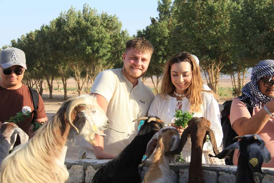 Hurghada: Desert Farm Tour with Breakfast at Scorpion Camp - Planting vegetables and learning farm basics
