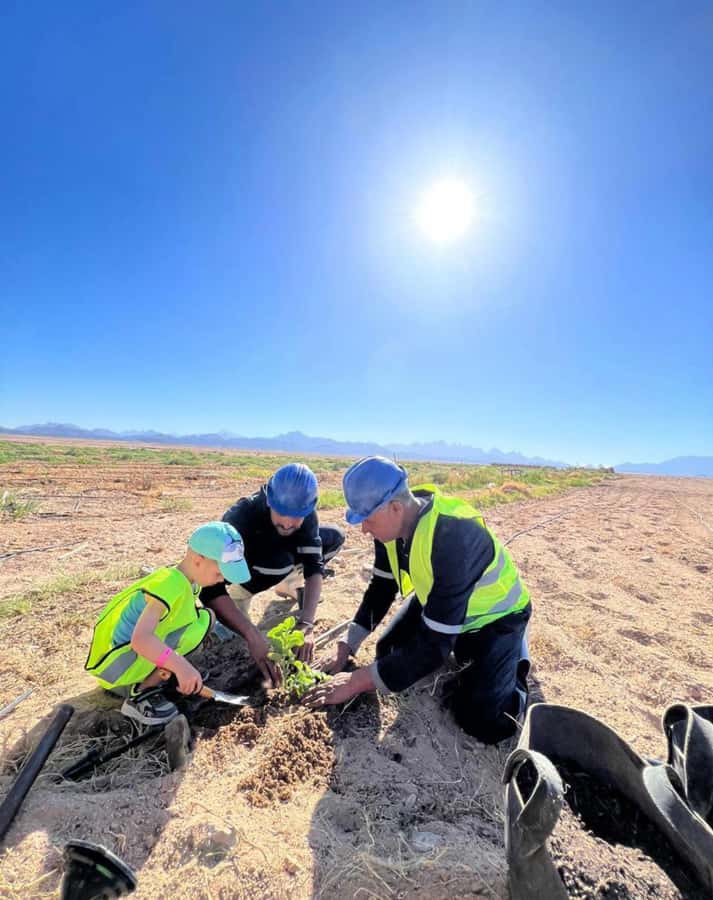 Hurghada: Jeep Safari, Tree Planting & Farm-to-Table Lunch - Key details before you book