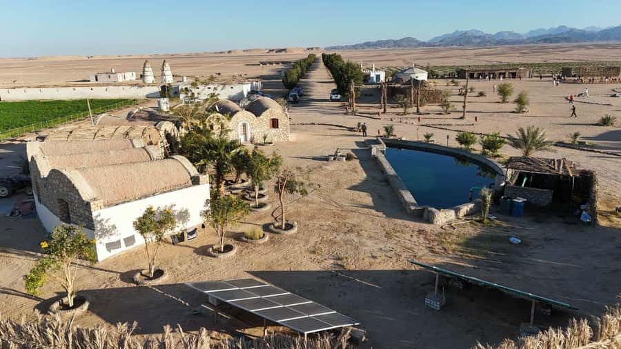 Hurghada: Jeep Safari, Tree Planting & Farm-to-Table Lunch - Why this Hurghada excursion feels different