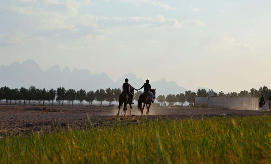 Hurghada: Jeep Safari, Tree Planting & Farm-to-Table Lunch - The agriculture talk explains the farm’s daily work