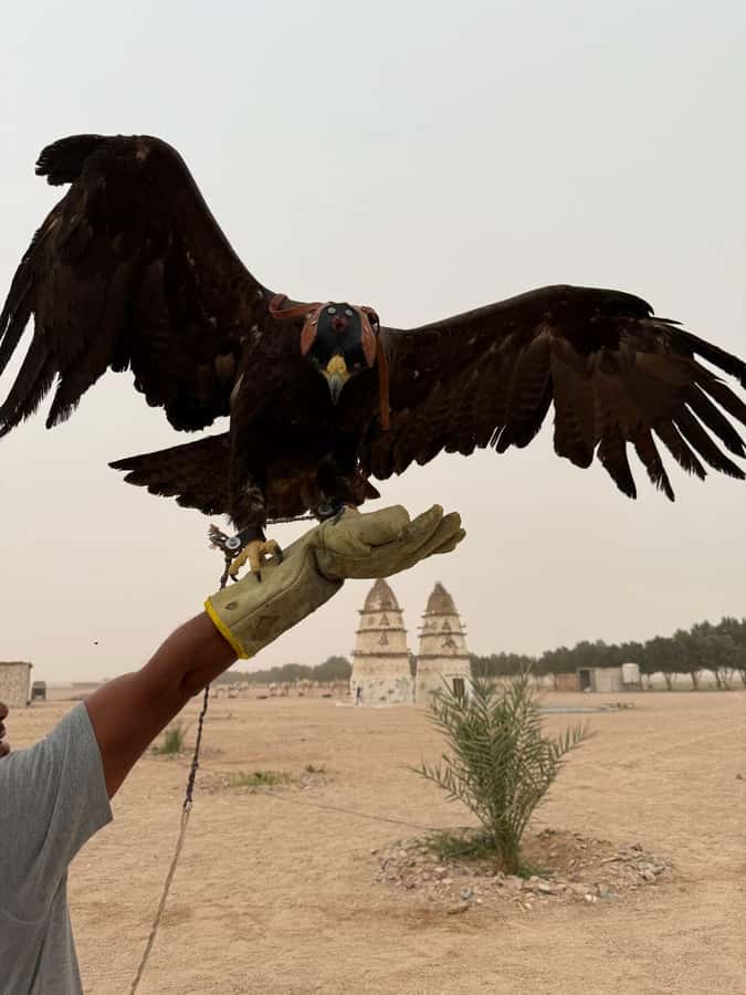 Hurghada: Jeep Safari, Tree Planting & Farm-to-Table Lunch - Planting a tree with your name on it