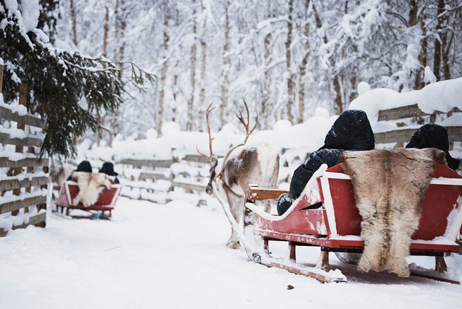 Husky and Reindeer Experience - Santa Claus Village in a tight time window