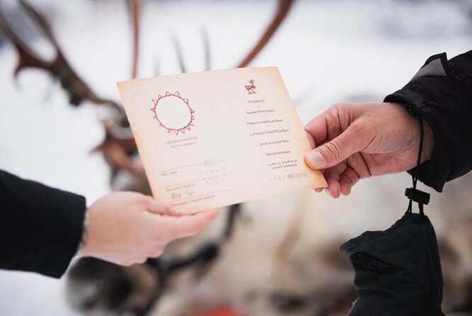 Husky and Reindeer Experience - What the guides add to the experience