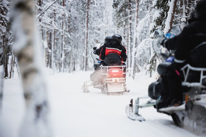 Husky and Reindeer Experience With Snowmobiling - Key points before you book