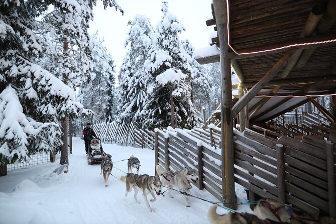 Husky and Reindeer farms visit with sleigh rides - What the two rides feel like in practice