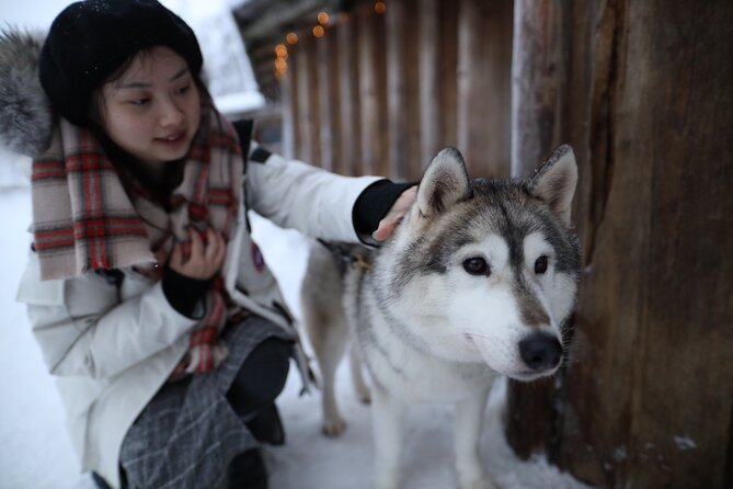Husky and Reindeer farms visit with sleigh rides - Seven practical questions to settle before departure