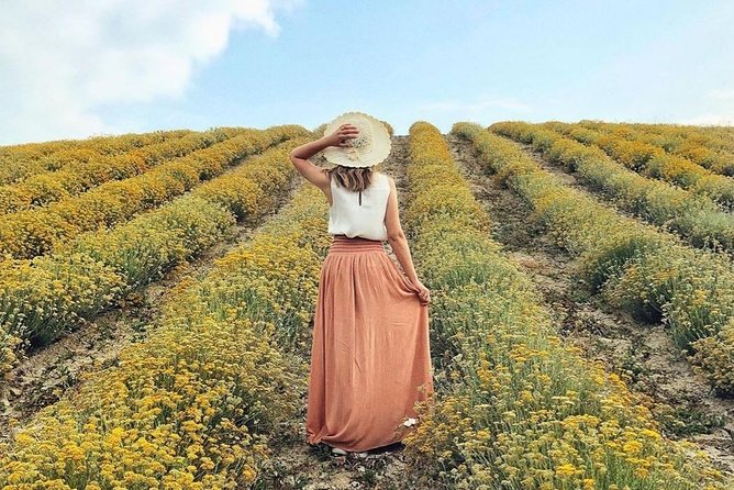Immortelle farm island Krk - Why this short Krk farm tour is worth your time