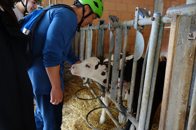 Interlaken 3-Hour Guided E-Bike Tour with a Farm and Ancient Villages Visit - Along the Aare River
