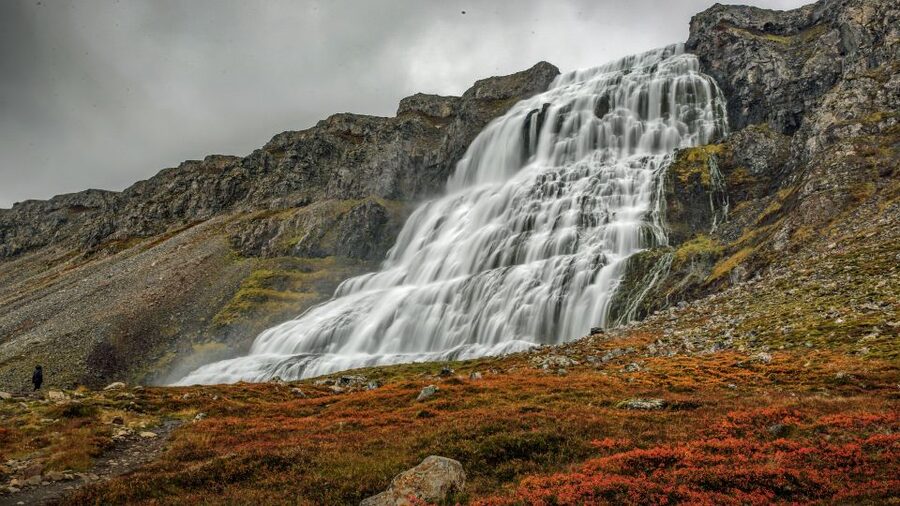 Isafjordur: Dynjandi Waterfall Tour and Icelandic Farm Visit - Key points to know before you book