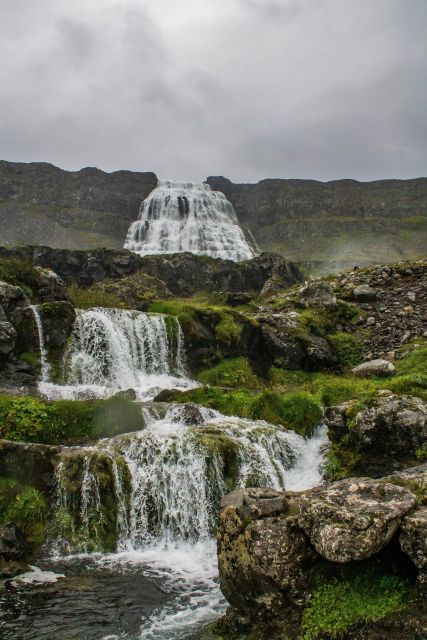 Isafjordur: Dynjandi Waterfall Tour and Icelandic Farm Visit - The guides make a real difference