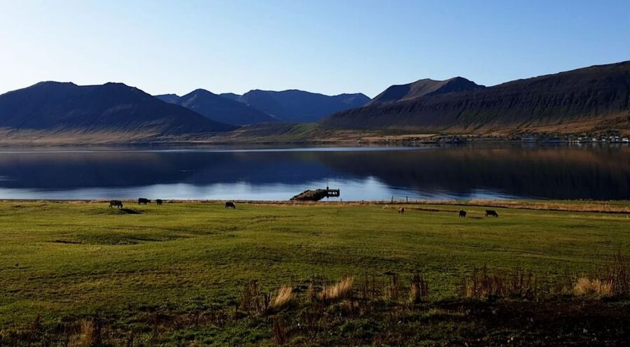 Isafjordur: Dynjandi Waterfall Tour and Icelandic Farm Visit - Practical tips for a better visit