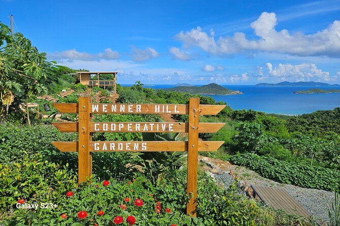 Island Eco Farm Tour with Local Treats and Sapphire Beach Time - The first hour at the East End farm