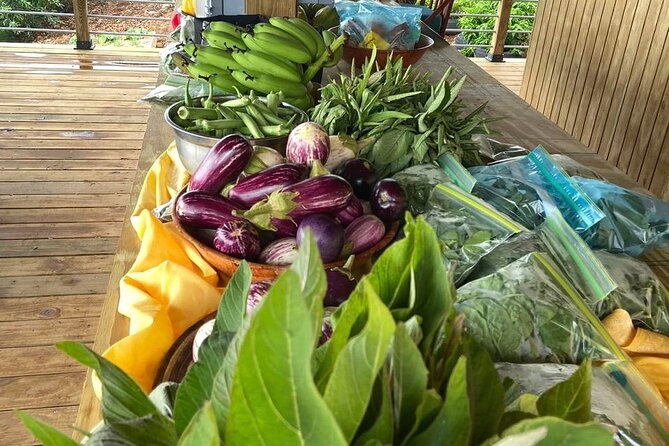 Island Eco Farm Tour with Local Treats and Sapphire Beach Time - Who should book this experience