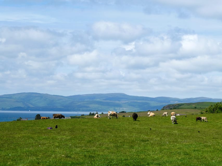 Isle of Arran: Exclusive Private Farm Tour with the Farmer - Key points at a glance