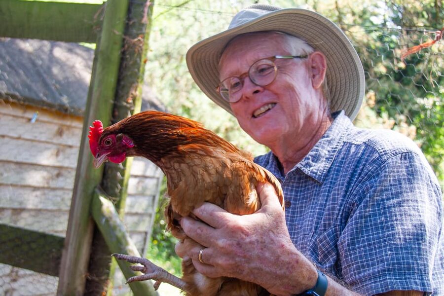 Isle of Arran: Exclusive Private Farm Tour with the Farmer - Feeding Highland cows, goats, alpacas, and chickens