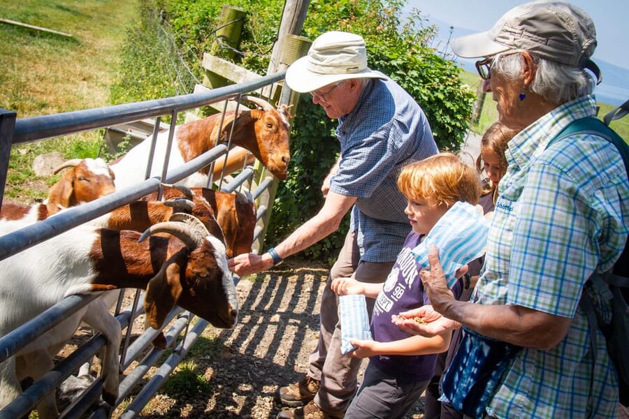 Isle of Arran: Exclusive Private Farm Tour with the Farmer - Barley fields and the route from grain to whisky