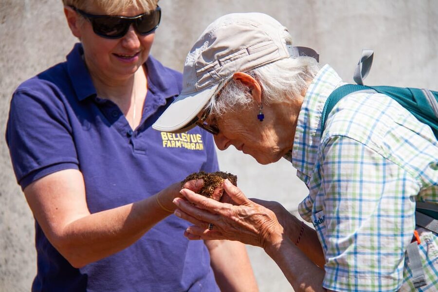 Isle of Arran: Exclusive Private Farm Tour with the Farmer - Sustainability at a Gold Green Tourism farm
