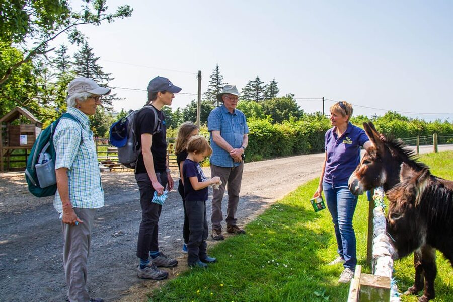 Isle of Arran: Exclusive Private Farm Tour with the Farmer - What the $380 price really gets you