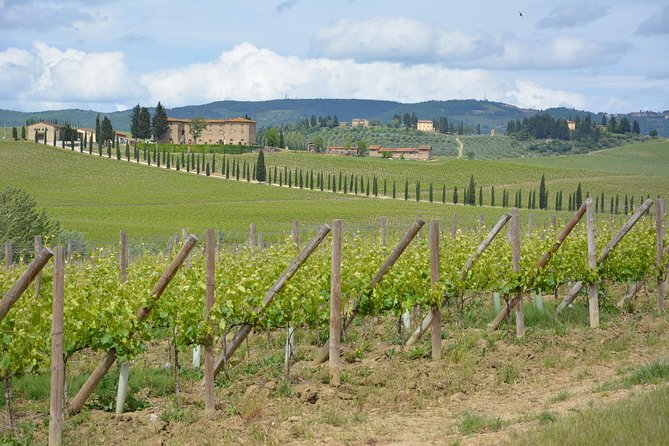 It's Wine Time! 2 wineries & farm-to-table lunch—max 8 pp - Why the guides make a difference