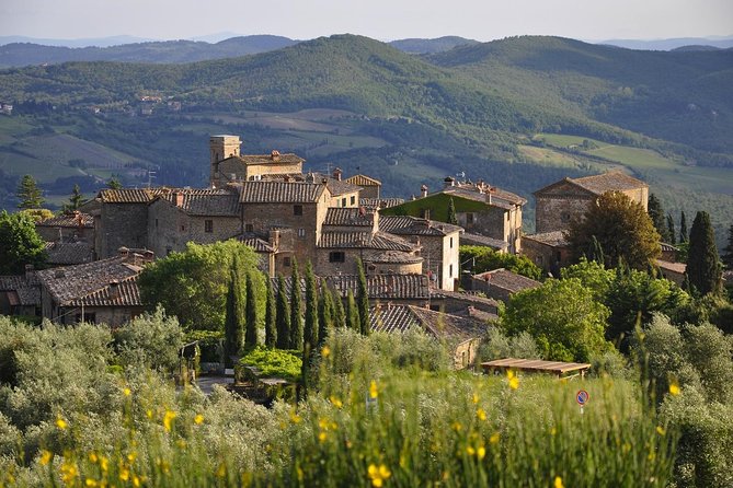 It's Wine Time! 2 wineries & farm-to-table lunch—max 8 pp - Is Grape Tours Wine Time worth booking?