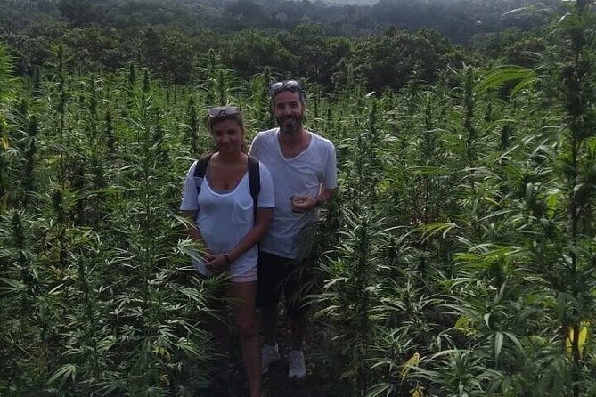 Jamaica Farm Private Dispensary Tour Montego Bay - What the $130 price buys you