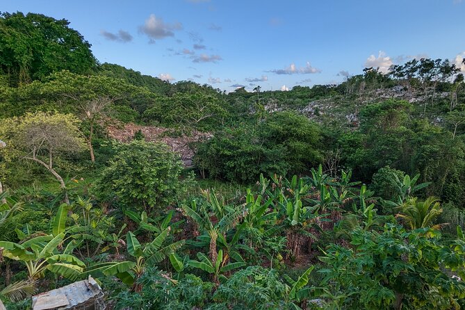 Jamaican Roots Tropical Farm Tour - Taste & Explore (Negril) 2hr - Is $98 a fair price?