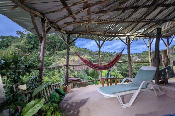 Jamaican Roots Tropical Farm Tour - Taste & Explore (Negril) 2hr - Adding a farm-to-table meal
