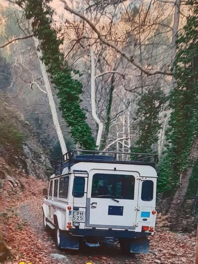 Jeep safari in French, English to Akamas, Gorge, Donkey Farm