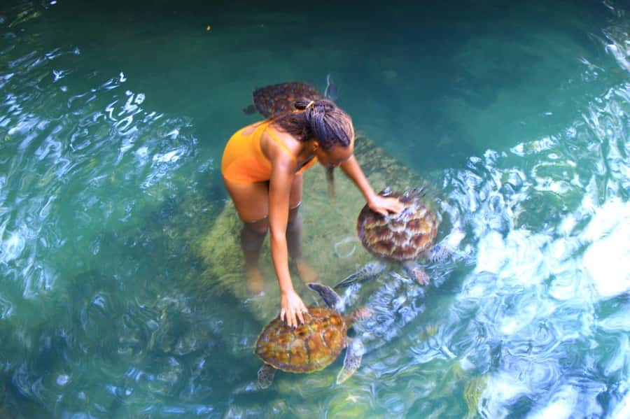 Joazani forest & Spice farm with lunch - From forest shade to Zanzibar’s spice farms