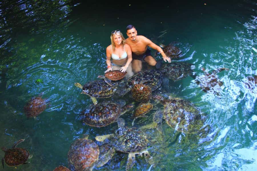 Joazani forest & Spice farm with lunch - Starting at 8:00 with hotel pickup