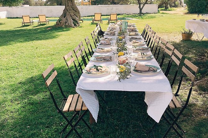 Join In On Our Farmers Table - Lunch under the ancient olive tree