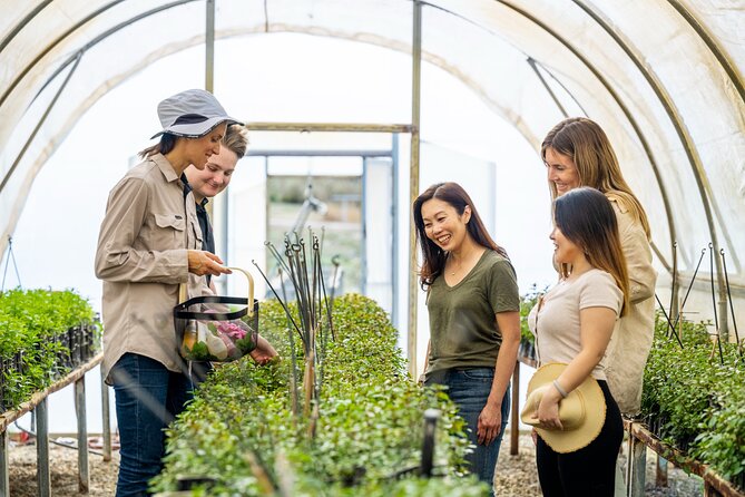 Jurlique Farm Tour - The Jurlique Story and the Farm’s Purpose