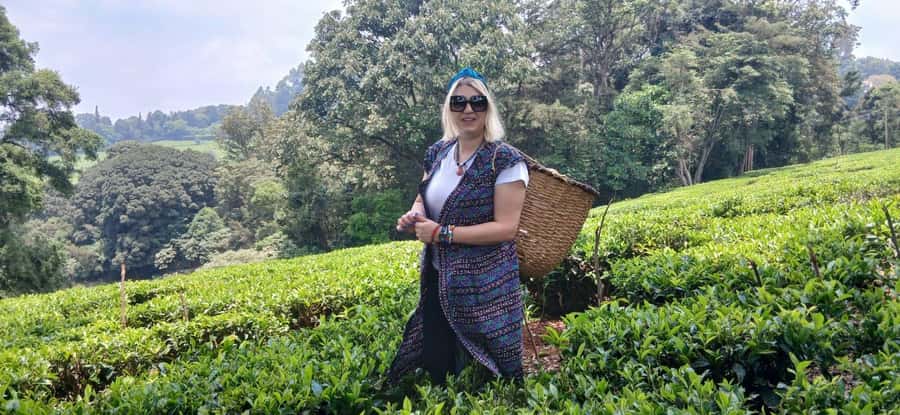 Kaimbethu tea farm tour and lunch package - The welcome: tea, stories, and a sense of place