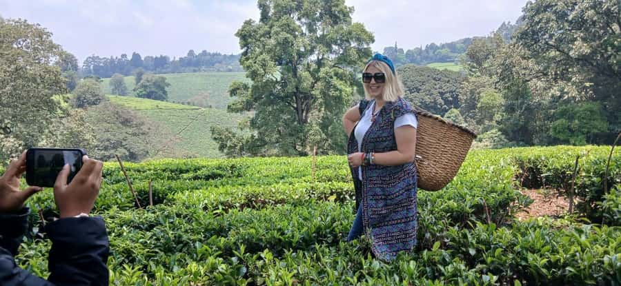 Kaimbethu tea farm tour and lunch package - Walking through the tea fields