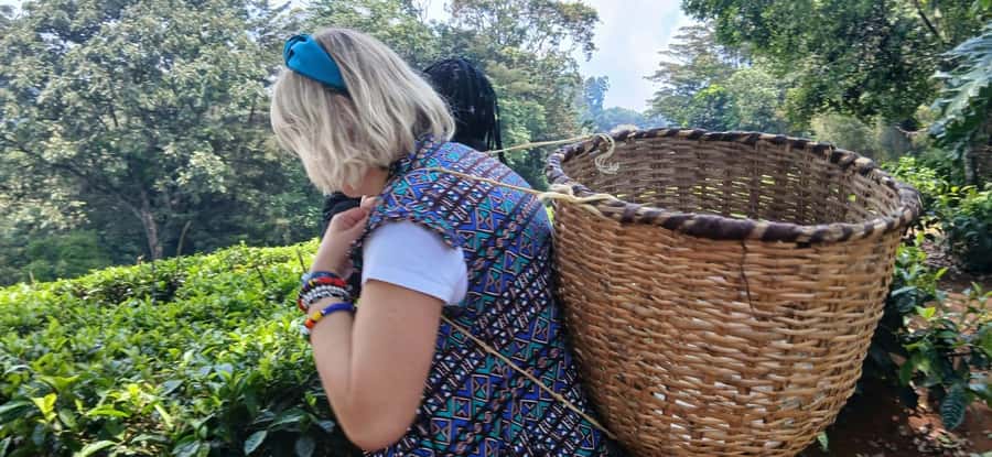 Kaimbethu tea farm tour and lunch package - Price, duration, and what your money covers