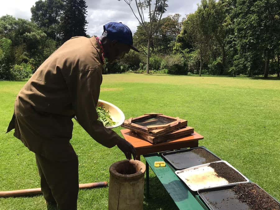 Kaimbethu tea farm tour and lunch package - Getting there from Nairobi