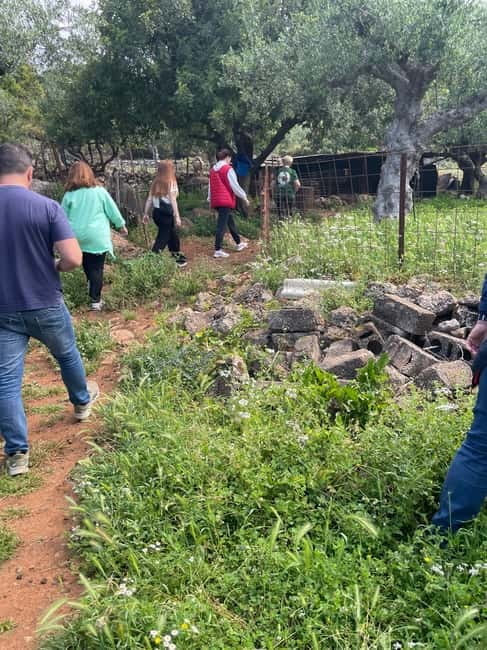 Kalamata: Farm-to-Table Experience with Cooking - Making Sfela and Anthotyro by hand