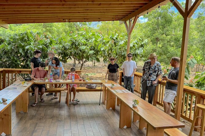 Kamananui Cacao Orchard Tour - Why this North Shore cacao tour is worth your time